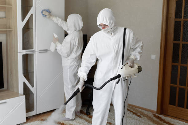 Best Post-Flood Mold Remediation in Appleton City, MO